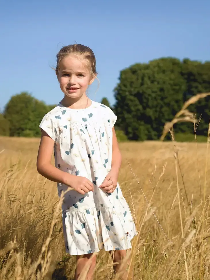 Beet World Molly Dress, Blue Floral